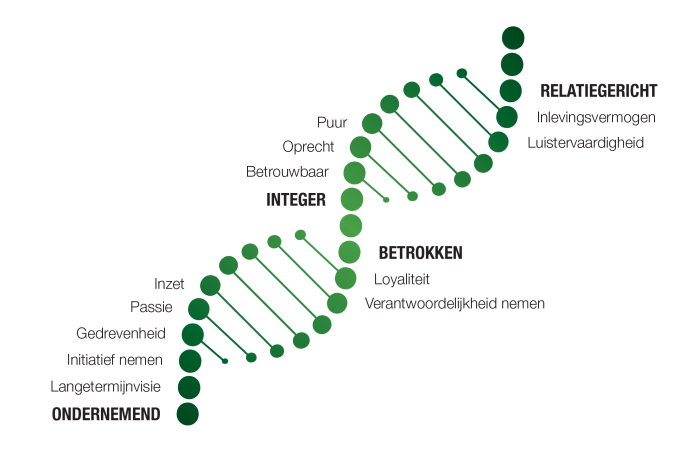 Model Veldsink DNA1